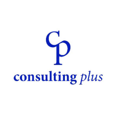 consulting_plus300x217